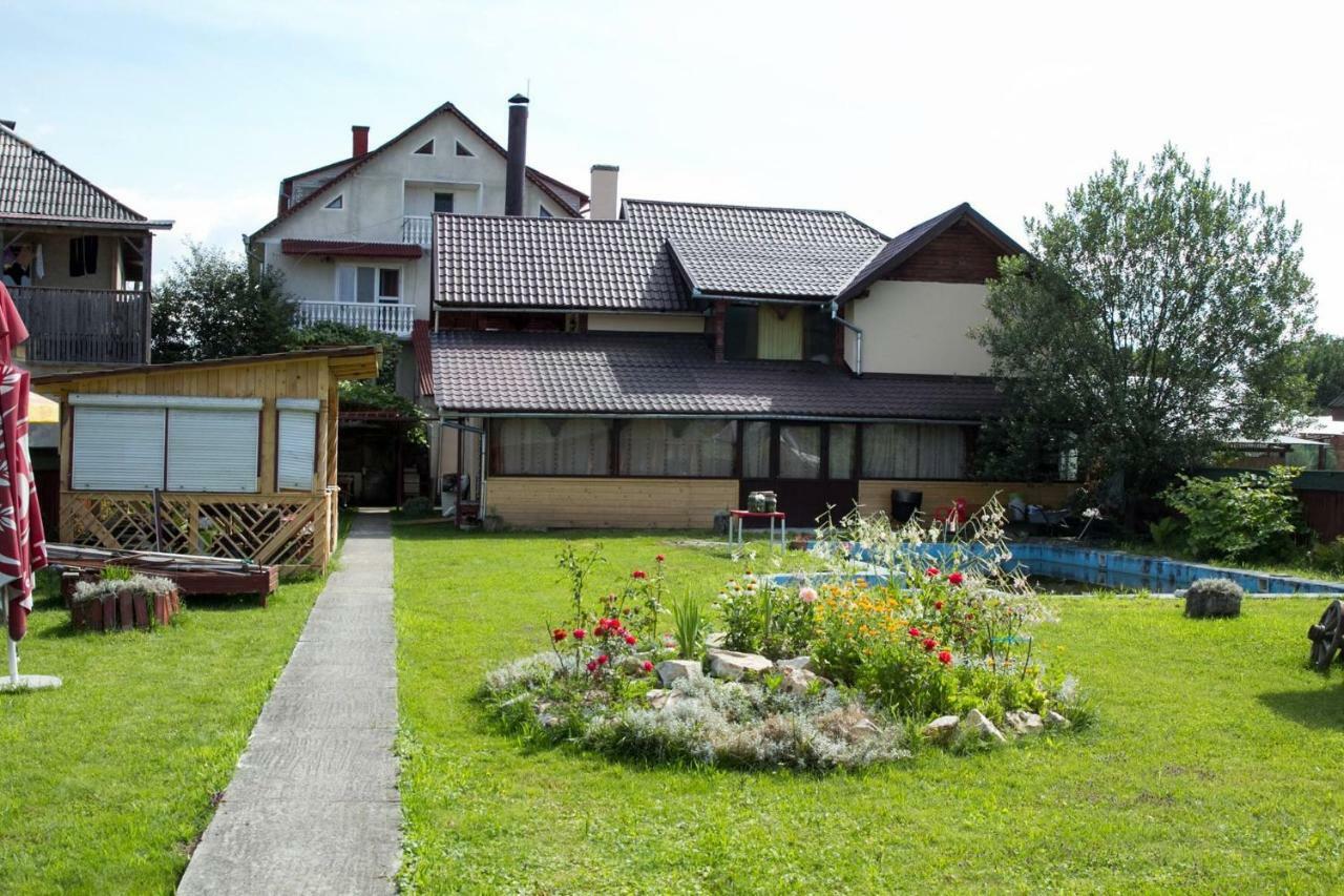 Pensiunea Aurica Tirgu Lapus Exterior photo